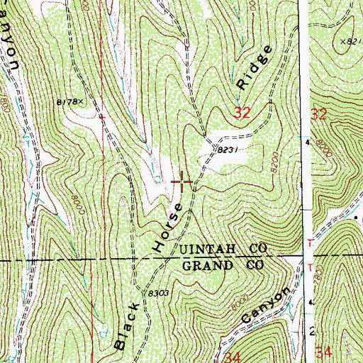 Topographic Map of Black Horse Ridge, UT