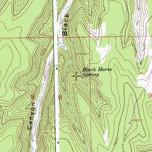 Topographic Map of Black Horse Spring, UT