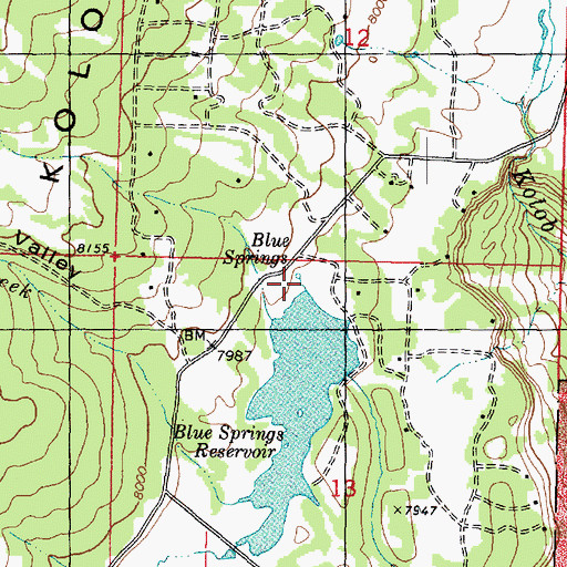 Topographic Map of Blue Springs, UT