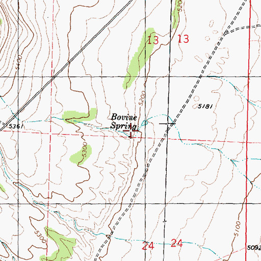 Topographic Map of Bovine Spring, UT