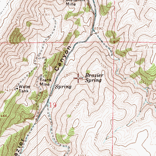 Topographic Map of Brazier Spring, UT