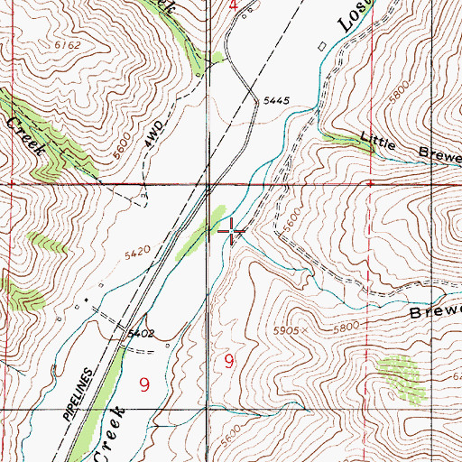 Topographic Map of Brewer Canyon, UT