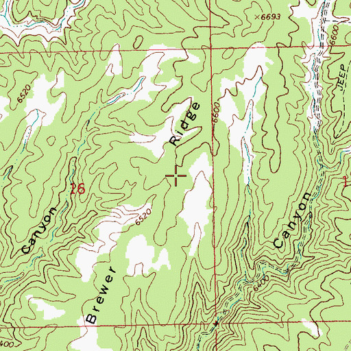 Topographic Map of Brewer Ridge, UT