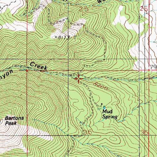 Topographic Map of Bromide Canyon, UT