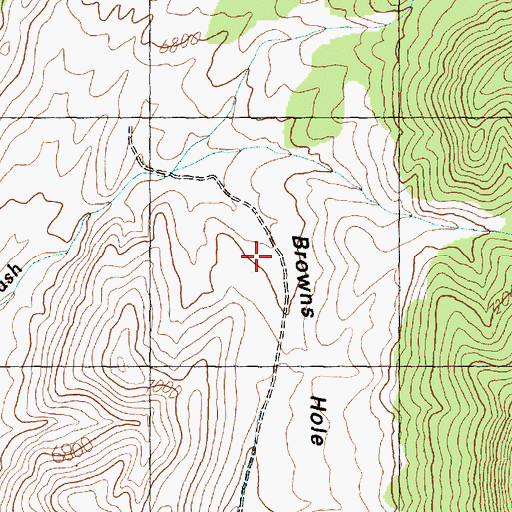 Topographic Map of Browns Hole, UT
