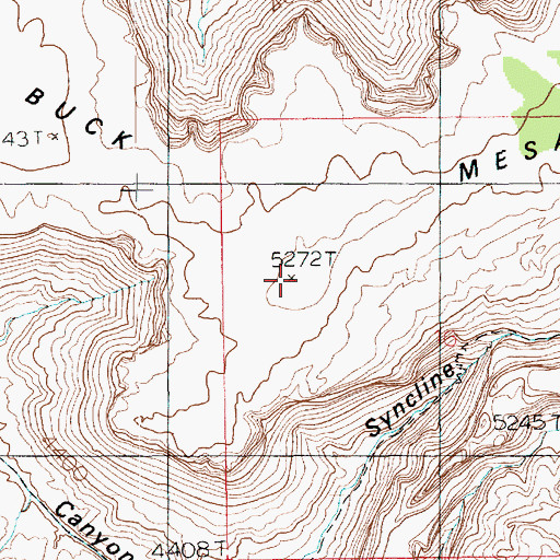 Topographic Map of Buck Mesa, UT