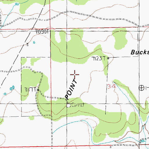 Topographic Map of Bucks Flat, UT