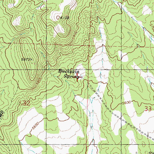 Topographic Map of Buckskin Spring, UT