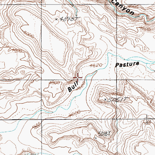 Topographic Map of Bull Pasture, UT