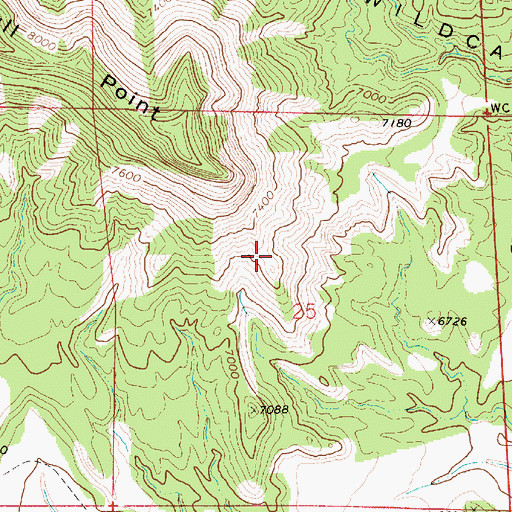 Topographic Map of Bull Point, UT
