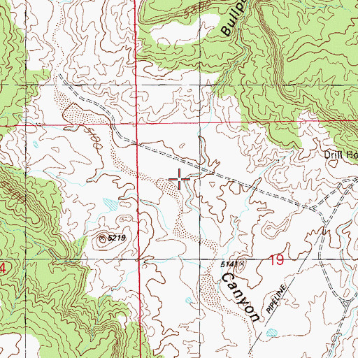 Topographic Map of Bullpen Swale, UT