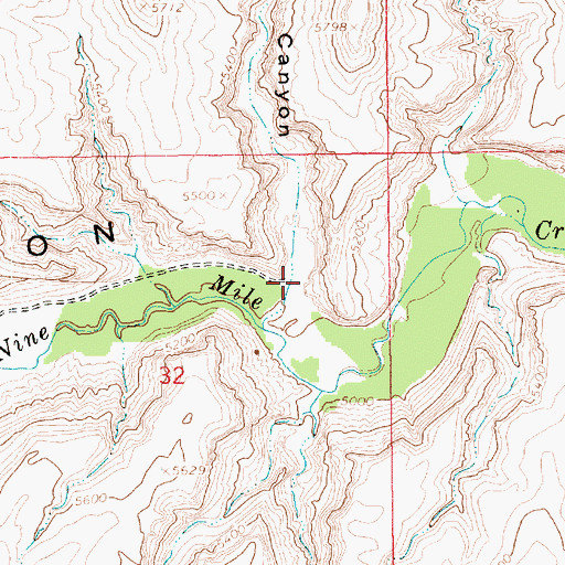 Topographic Map of Bulls Canyon, UT