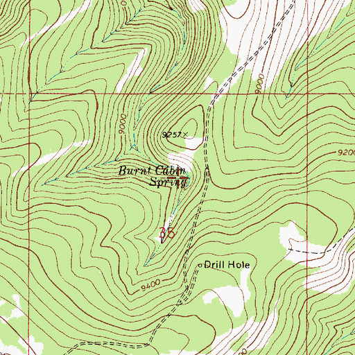 Topographic Map of Burnt Cabin Spring, UT