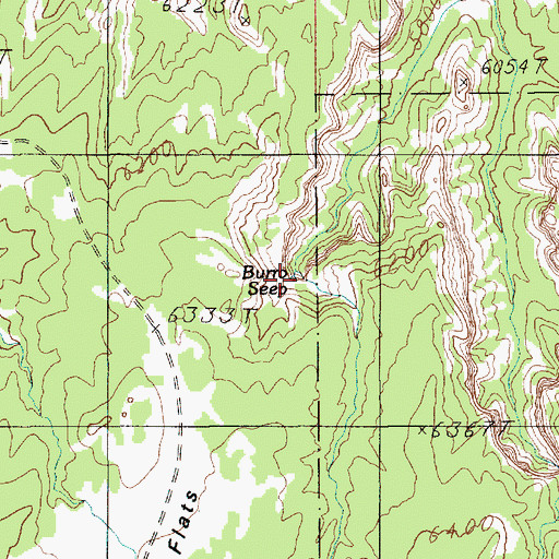 Topographic Map of Burro Seep, UT