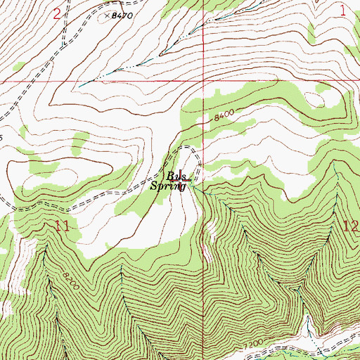 Topographic Map of Bus Spring, UT