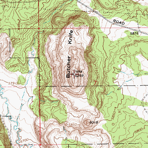 Topographic Map of Butcher Knife, UT