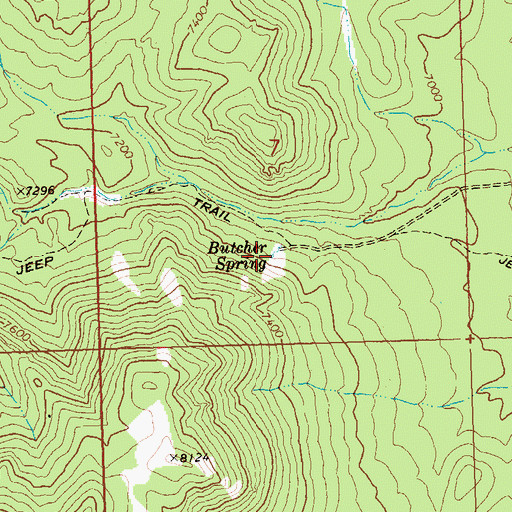 Topographic Map of Butcher Spring, UT
