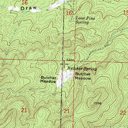 Topographic Map of Butcher Spring, UT