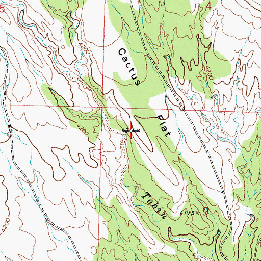 Topographic Map of Cactus Flat, UT