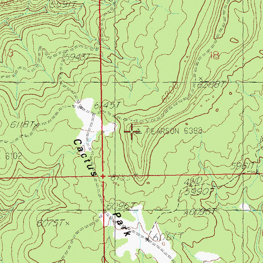 Topographic Map of Cactus Park, UT