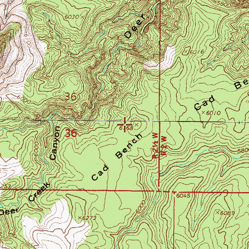 Topographic Map of Cad Bench, UT