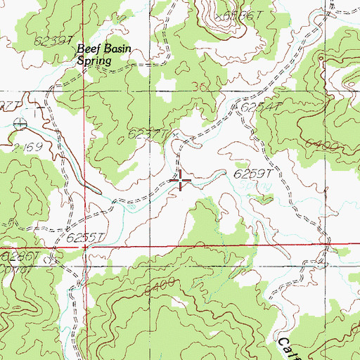 Topographic Map of Calf Canyon, UT