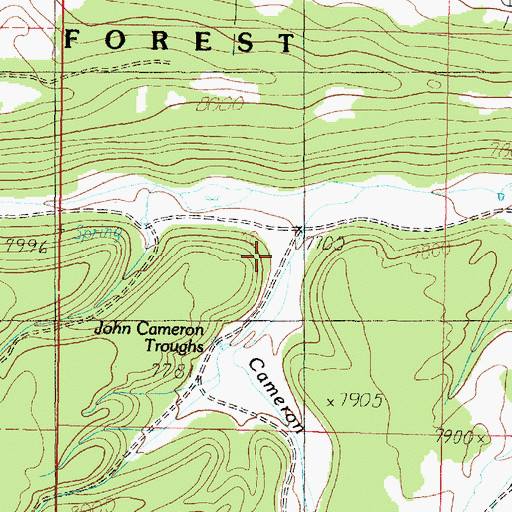 Topographic Map of Cameron Wash, UT