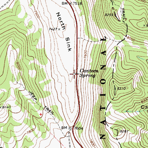 Topographic Map of Canteen Spring, UT