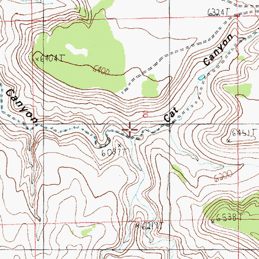 Topographic Map of Cat Canyon, UT