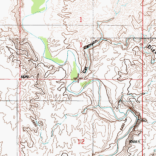 Topographic Map of Cat Canyon, UT