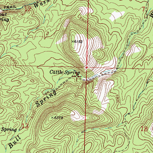 Topographic Map of Cattle Spring, UT