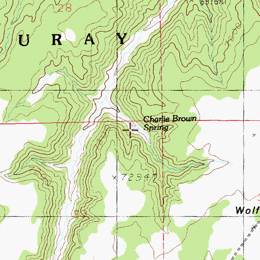 Topographic Map of Charlie Brown Spring, UT