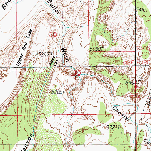 Topographic Map of Chesler Canyon, UT