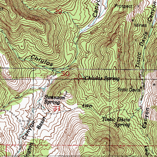Topographic Map of Chiulos Spring, UT