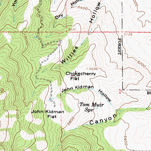 Topographic Map of Chokecherry Flat, UT