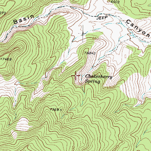 Topographic Map of Chokecherry Spring, UT