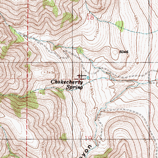 Topographic Map of Chokecherry Spring, UT