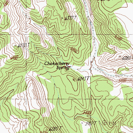 Topographic Map of Chokecherry Spring, UT
