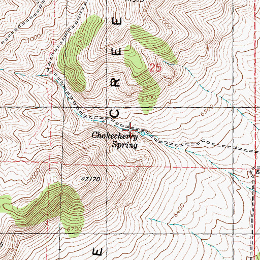 Topographic Map of Chokecherry Spring, UT