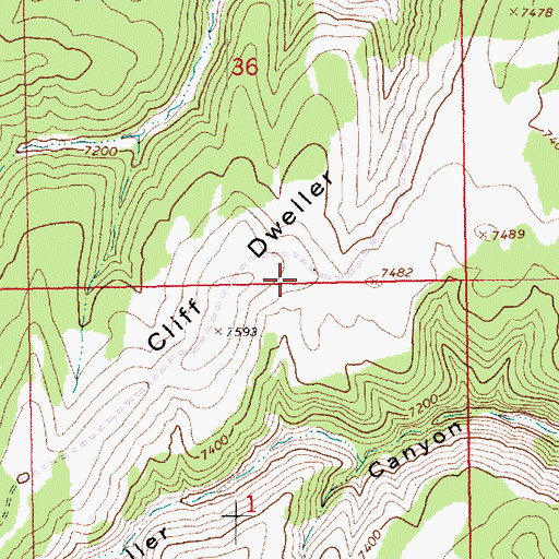 Topographic Map of Cliff Dweller Ridge, UT