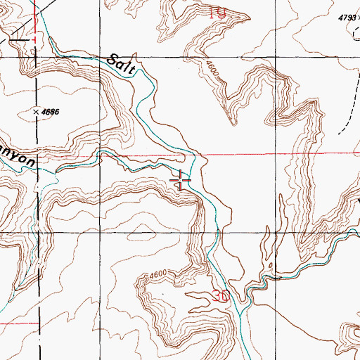 Topographic Map of Clover Canyon, UT