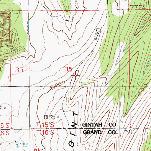 Topographic Map of Chandler Point, UT