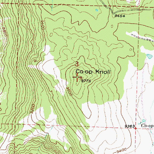 Topographic Map of Co-op Knoll, UT