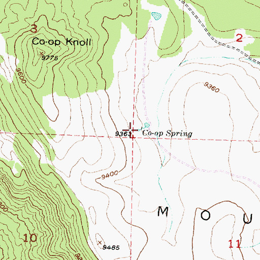 Topographic Map of Co-op Spring, UT