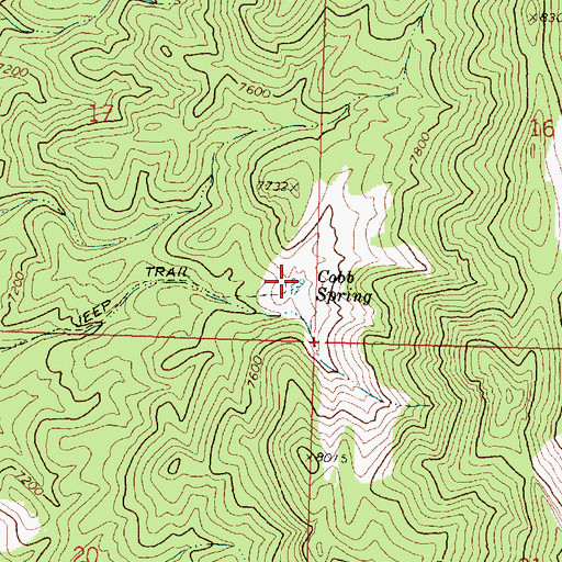 Topographic Map of Cobb Spring, UT