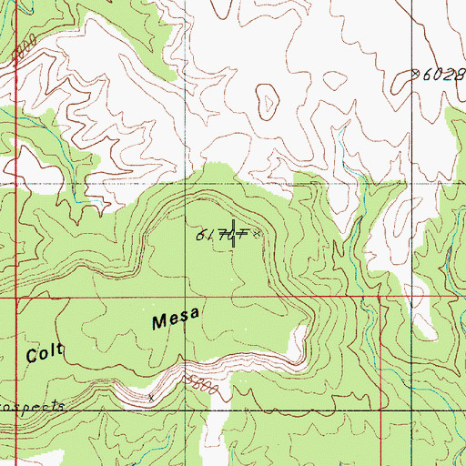 Topographic Map of Colt Mesa, UT