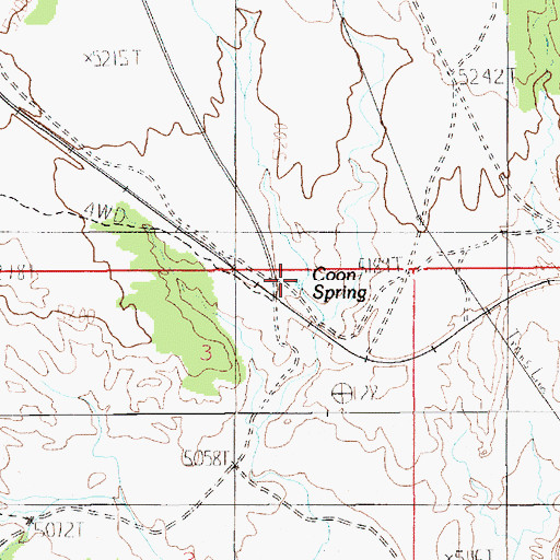 Topographic Map of Coon Spring, UT