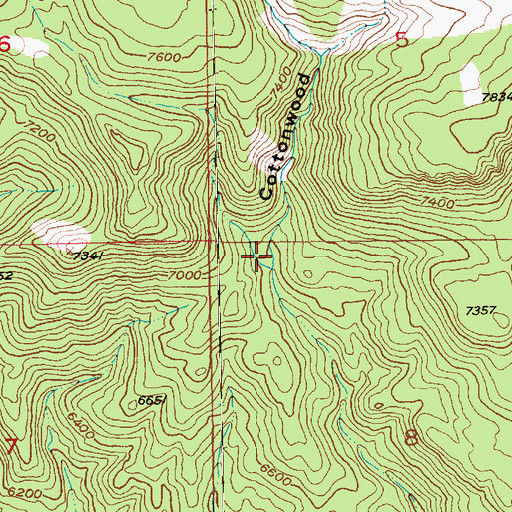 Topographic Map of Cottonwood Draw, UT
