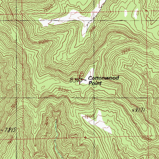 Topographic Map of Cottonwood Point, UT