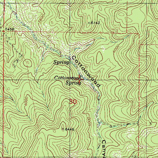 Topographic Map of Cottonwood Spring, UT